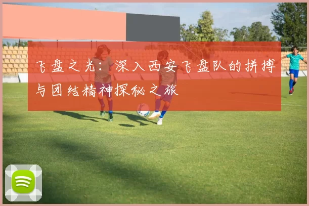 飞盘之光：深入西安飞盘队的拼搏与团结精神探秘之旅