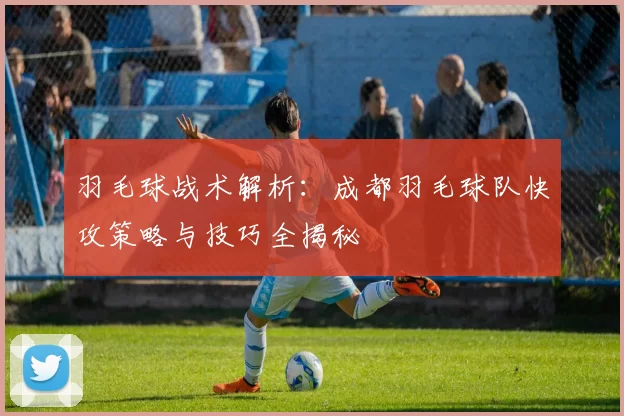 羽毛球战术解析：成都羽毛球队快攻策略与技巧全揭秘