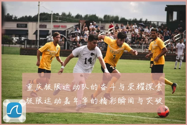 重庆极限运动队的奋斗与荣耀探索极限运动嘉年华的精彩瞬间与突破历程