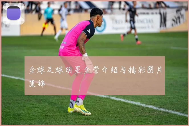 全球足球明星全景介绍与精彩图片集锦