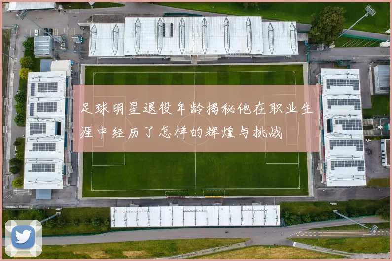 足球明星退役年龄揭秘他在职业生涯中经历了怎样的辉煌与挑战