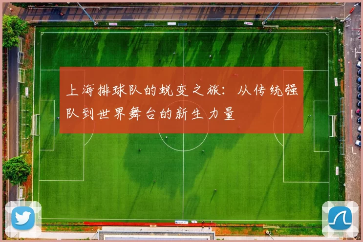 上海排球队的蜕变之旅：从传统强队到世界舞台的新生力量
