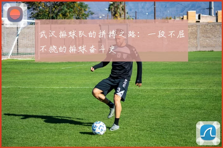 武汉排球队的拼搏之路：一段不屈不挠的排球奋斗史