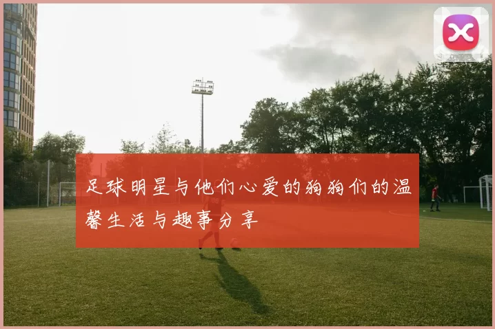 足球明星与他们心爱的狗狗们的温馨生活与趣事分享