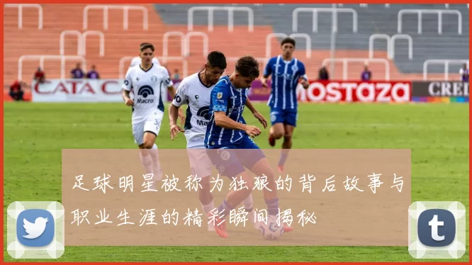 足球明星被称为独狼的背后故事与职业生涯的精彩瞬间揭秘