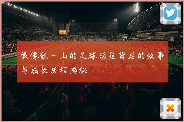 很像张一山的足球明星背后的故事与成长历程揭秘