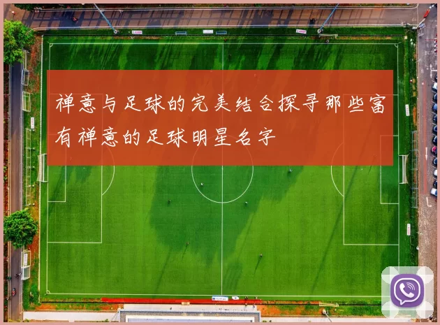 禅意与足球的完美结合探寻那些富有禅意的足球明星名字