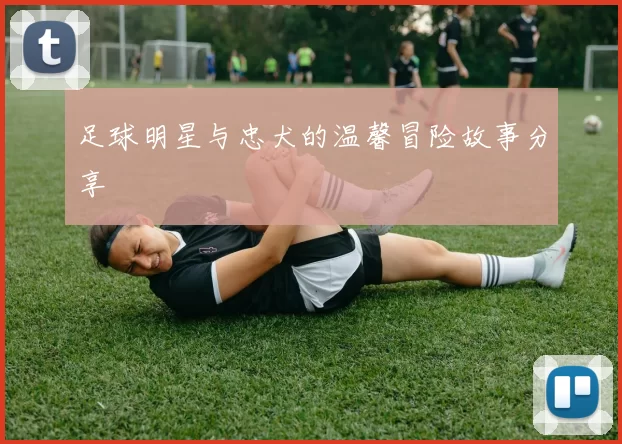 足球明星与忠犬的温馨冒险故事分享
