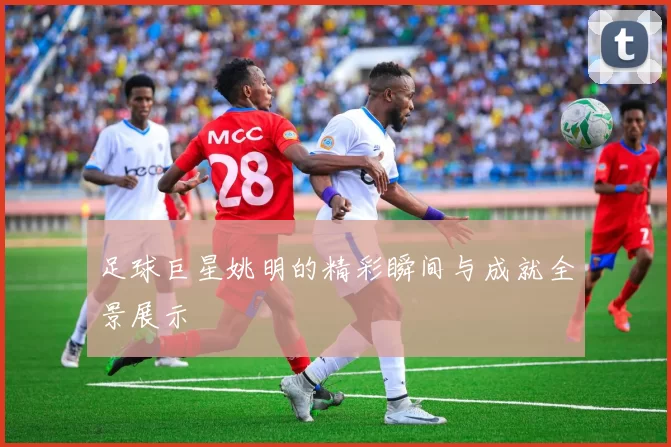 足球巨星姚明的精彩瞬间与成就全景展示