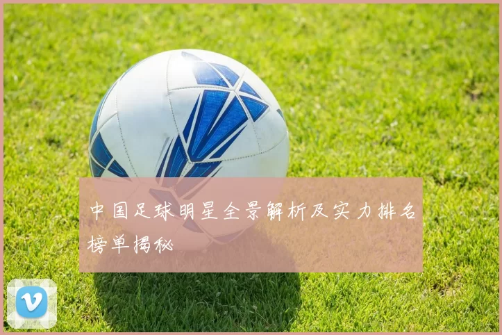 中国足球明星全景解析及实力排名榜单揭秘