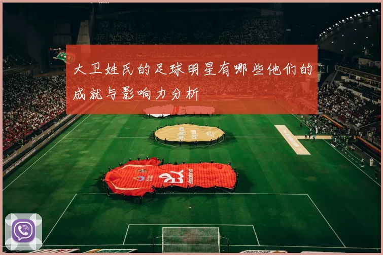 大卫姓氏的足球明星有哪些他们的成就与影响力分析