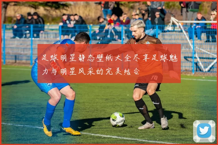足球明星静态壁纸大全尽享足球魅力与明星风采的完美结合