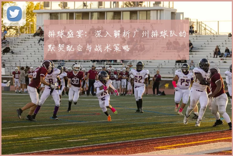 排球盛宴：深入解析广州排球队的默契配合与战术策略