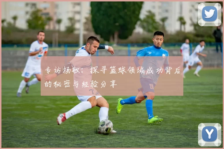 专访杨敏：探寻篮球领域成功背后的秘密与经验分享