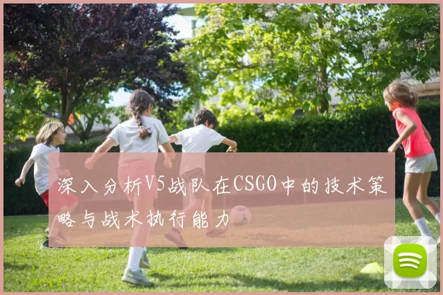 深入分析V5战队在CSGO中的技术策略与战术执行能力
