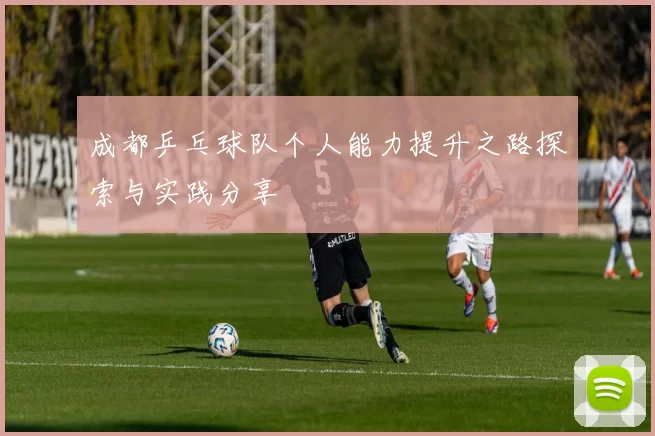 成都乒乓球队个人能力提升之路探索与实践分享